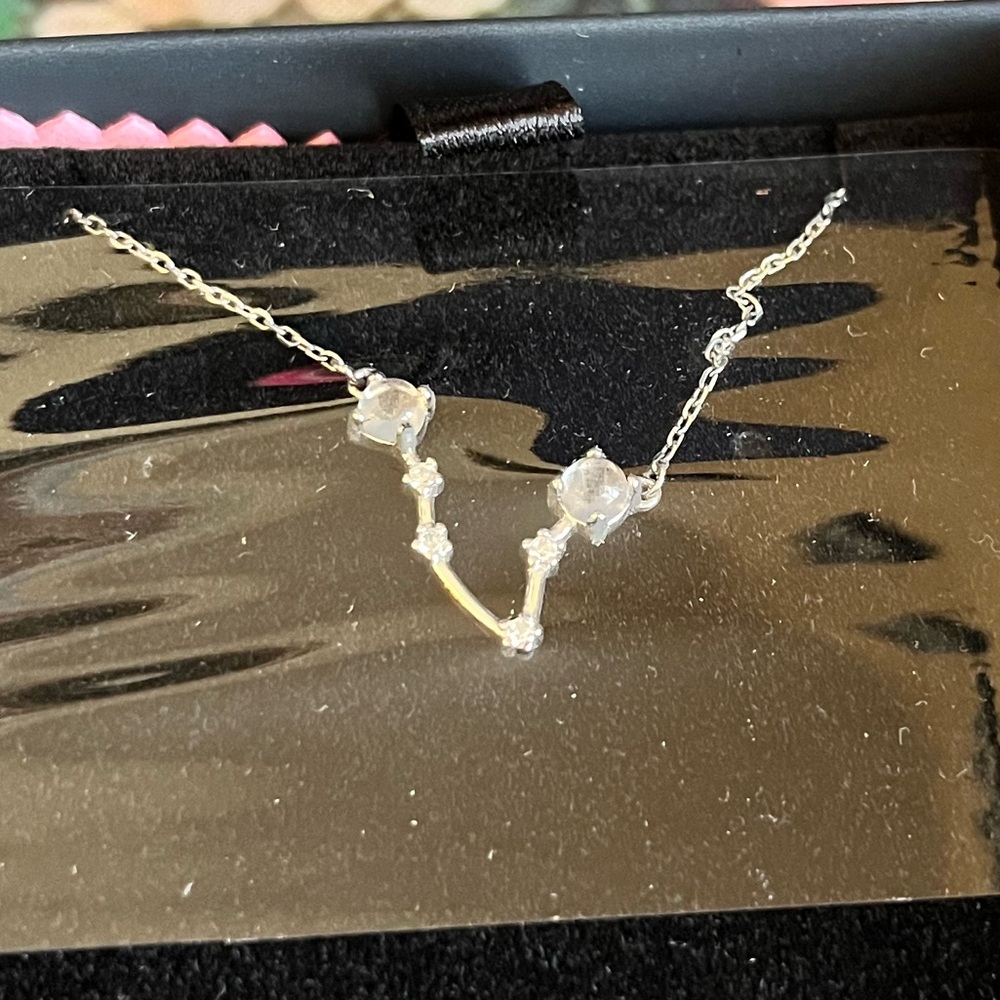 NIB Pisces Constellation Necklace